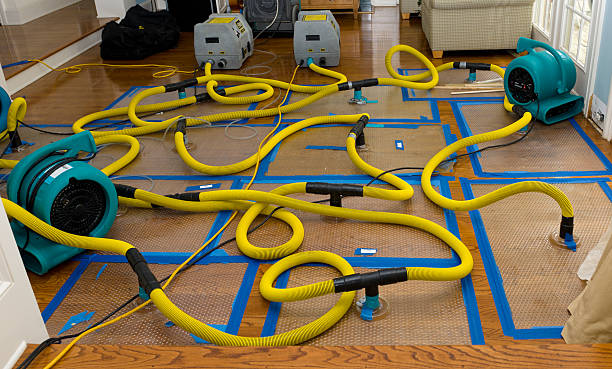 Professional Water Extraction technician working in Honey Grove, TX