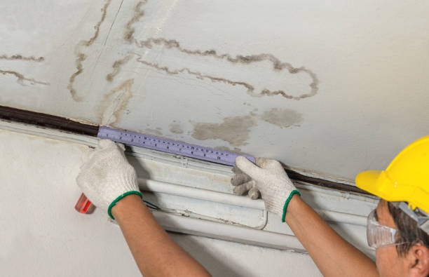 Affordable Water Damage Repair solutions in Honey Grove, TX